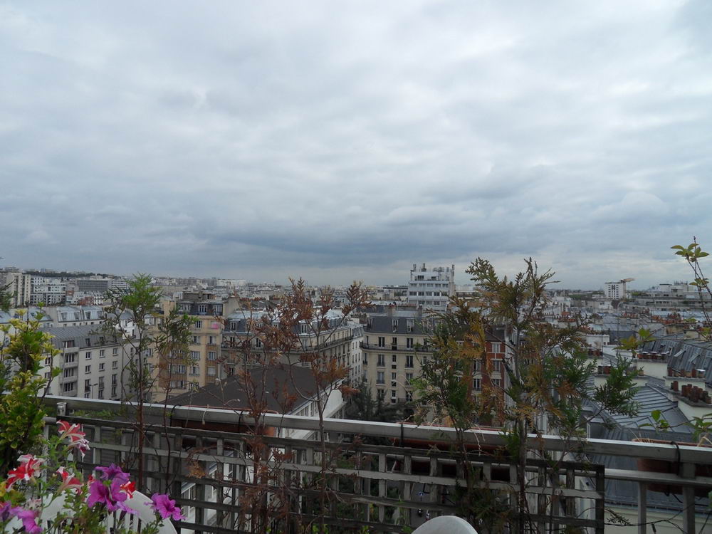 Paris Terrasse